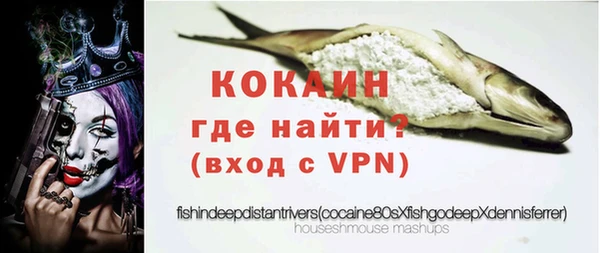 шишки Дмитриев