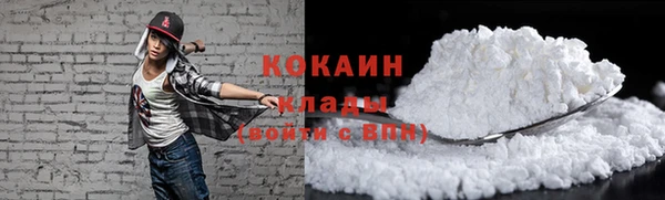 шишки Дмитриев