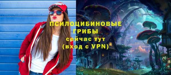 шишки Дмитриев