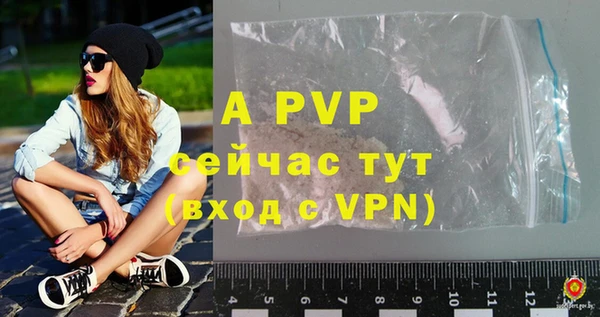 шишки Дмитриев