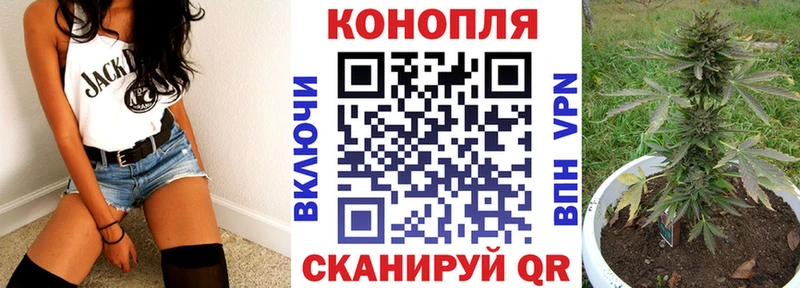 Бошки Шишки план  Купить  Чайковский 
